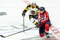 Hamilton-Bulldogs-at-Windsor-Spitfires-June-13-2022-4