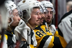 Hamilton-Bulldogs-at-Windsor-Spitfires-June-13-2022-40