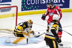 Hamilton-Bulldogs-at-Windsor-Spitfires-June-13-2022-63