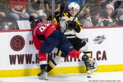 Hamilton-Bulldogs-at-Windsor-Spitfires-June-13-2022-64