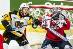 Hamilton-Bulldogs-at-Windsor-Spitfires-June-13-2022-65