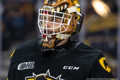 Windsor-Spitfires-at-Hamilton-Bulldogs-June-15-2022-12