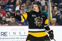 Windsor-Spitfires-at-Hamilton-Bulldogs-June-15-2022-8
