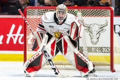 Owen-Sound-Attack-at-Windsor-Spitfires-March-10-2022-15