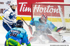 Mississauga-Steelheads-at-Windsor-Spitfires-March-3-2024-In-Play-magazine-3