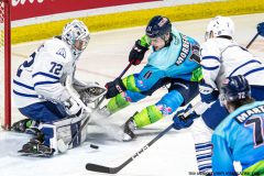 Mississauga-Steelheads-at-Windsor-Spitfires-March-3-2024-In-Play-magazine-34