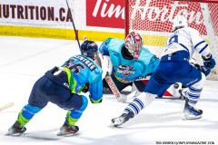 Mississauga-Steelheads-at-Windsor-Spitfires-March-3-2024-In-Play-magazine-49