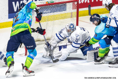 Mississauga-Steelheads-at-Windsor-Spitfires-March-3-2024-In-Play-magazine-5
