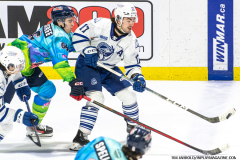 Mississauga-Steelheads-at-Windsor-Spitfires-March-3-2024-In-Play-magazine-9