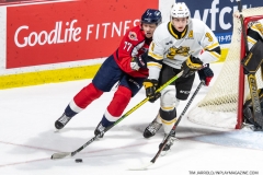 Sarnia-Sting-at-Windsor-Spitfires-March-31-2022-12