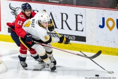 Sarnia-Sting-at-Windsor-Spitfires-March-31-2022-17