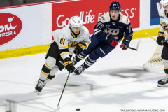 Sarnia-Sting-at-Windsor-Spitfires-March-4-2023-15
