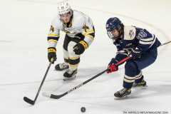 Sarnia-Sting-at-Windsor-Spitfires-March-4-2023-19