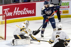 Sarnia-Sting-at-Windsor-Spitfires-March-4-2023-22
