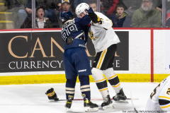 Sarnia-Sting-at-Windsor-Spitfires-March-4-2023-37