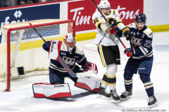 Sarnia-Sting-at-Windsor-Spitfires-March-4-2023-39