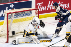 Sarnia-Sting-at-Windsor-Spitfires-March-4-2023-55