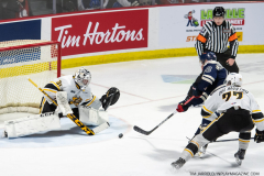 Sarnia-Sting-at-Windsor-Spitfires-March-4-2023-64