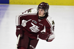 Peterbourgh-Petes-at-Windsor-Spitfires-November-10-2022-14