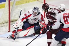 Peterbourgh-Petes-at-Windsor-Spitfires-November-10-2022-16