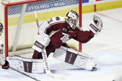 Peterbourgh-Petes-at-Windsor-Spitfires-November-10-2022-9