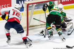 London-Knights-at-Windsor-Spitfires-November-12-2022-19