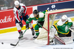 London-Knights-at-Windsor-Spitfires-November-12-2022-41