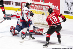 Windsor-Spitfires-vs-Owen-Sound-Attack-November-16-2023-In-Play-magazine-8