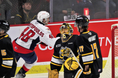Sarnia-Sting-at-Windsor-Spitfires-November-3-2022-1