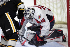 Sarnia-Sting-at-Windsor-Spitfires-November-3-2022-10