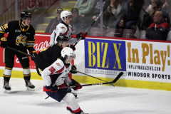 Sarnia-Sting-at-Windsor-Spitfires-November-3-2022-11