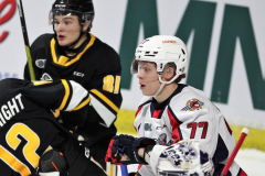 Sarnia-Sting-at-Windsor-Spitfires-November-3-2022-12