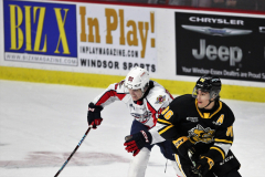 Sarnia-Sting-at-Windsor-Spitfires-November-3-2022-18