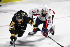 Sarnia-Sting-at-Windsor-Spitfires-November-3-2022-19