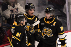 Sarnia-Sting-at-Windsor-Spitfires-November-3-2022-25