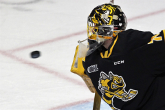 Sarnia-Sting-at-Windsor-Spitfires-November-3-2022-26