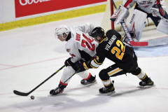 Sarnia-Sting-at-Windsor-Spitfires-November-3-2022-30