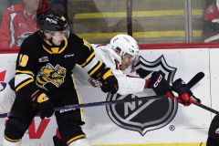 Sarnia-Sting-at-Windsor-Spitfires-November-3-2022-33
