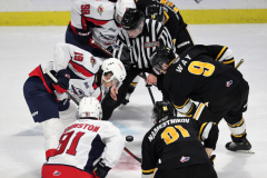 Sarnia-Sting-at-Windsor-Spitfires-November-3-2022-34