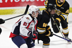 Sarnia-Sting-at-Windsor-Spitfires-November-3-2022-7