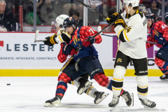 Windsor-Spitfires-vs-Sarnia-Sting-Oct-18-2025-In-Play-magazine-1