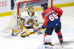 Windsor-Spitfires-vs-Sarnia-Sting-Oct-18-2025-In-Play-magazine-14