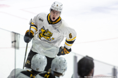 Windsor-Spitfires-vs-Sarnia-Sting-Oct-18-2025-In-Play-magazine-8