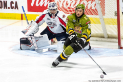 North-Bay-Battalion-at-Windsor-Spitfires-Oct-27-2022-Gallery-18