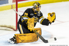 Sarnia-Sting-at-Windsor-Spitfires-October-1-2022-10