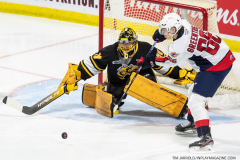 Sarnia-Sting-at-Windsor-Spitfires-October-1-2022-22