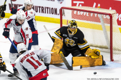 Sarnia-Sting-at-Windsor-Spitfires-October-1-2022-24