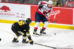 Sarnia-Sting-at-Windsor-Spitfires-October-1-2022-25