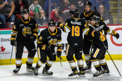 Sarnia-Sting-at-Windsor-Spitfires-October-1-2022-41