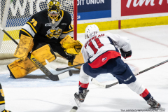 Sarnia-Sting-at-Windsor-Spitfires-October-1-2022-42